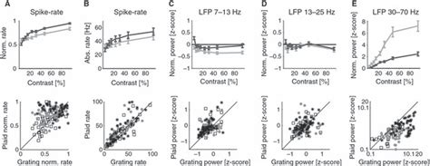 Comparison Of Lfp Power And Multi Unit Spiking Activity For All Sites