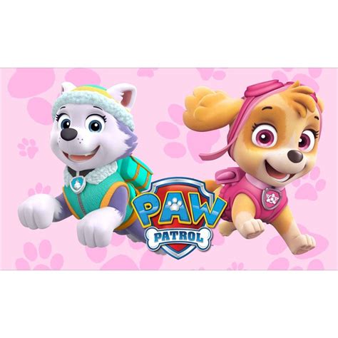 Bandeira Em Oxford Everest E Skye Patrulha Canina Paw Patrol X M