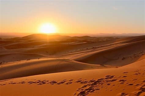 Sahara Desert Grows Green Turns Into Fertile Land Every Years