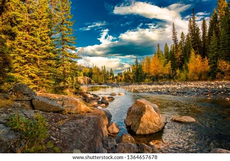 Clarks Fork Yellowstone River Stock Photo 1364657678 | Shutterstock