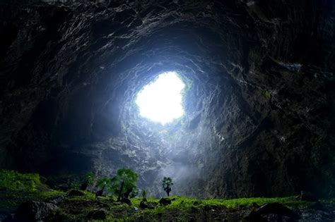 Giant Forest Sinkhole Discovered by Cave Explorers in China