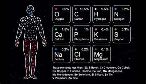 Carbon Atoms in the Human Body | Math & Physics Problems Wikia | Fandom