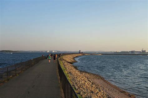 Castle Island Loop Trail Boston Ma Photograph By Toby Mcguire