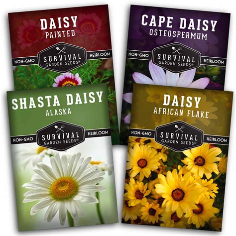 Daisy Seed Collection - 4 Colorful Daisies - SurvivalGardenSeeds