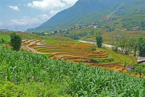 Sapa rice terraces Vietnam Stock Photo by ©awesomeaki 74811249