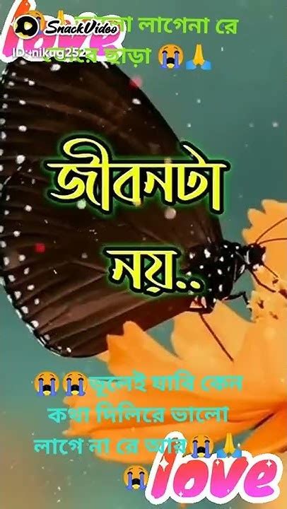 ভালো লাগেনা রে মিথ্যা আশা মিথ্যা ভরসা 🙏🙏🙏😭😭🙏🙏🙏🙏 Youtube