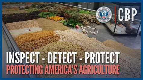 Protecting America S Agriculture Inspect Detect Protect Cbp