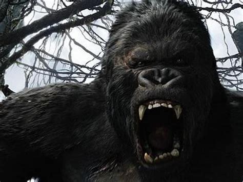 Beauty Didnt Kill This Beast How The Real King Kong Went Extinct