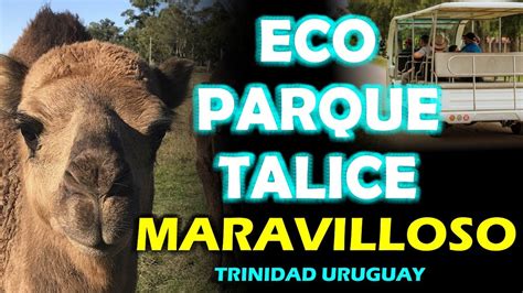 Parque Talice Un Lugar De EnsueÑo Trinidad Uruguay Youtube