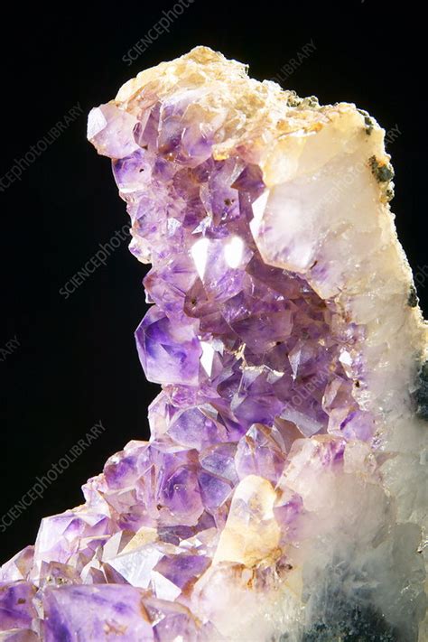 Amethyst crystals - Stock Image - E425/0864 - Science Photo Library