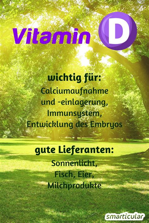 Darum ist das Sonnenvitamin D so wichtig für unseren Körper Vitamine