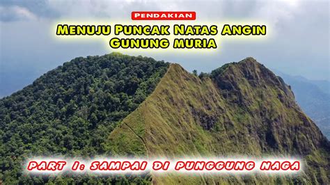 Pendakian Gunung Muria Part Jalur Naga Menuju Puncak Natas Angin