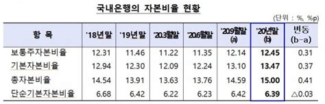 국내은행 Bis 자본비율 1분기 전보다 상승규제기준 웃돌아 네이트 뉴스