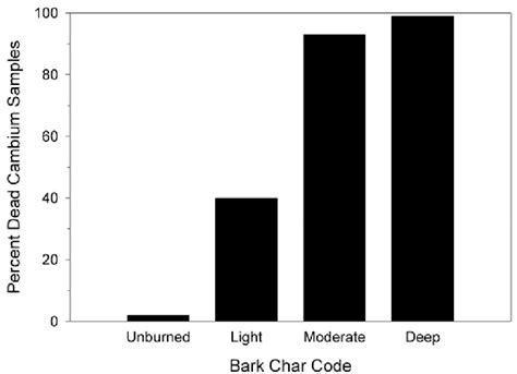 Percent Of Lodgepole Pine Bark Char Quadrants With Dead Cambium By Bark