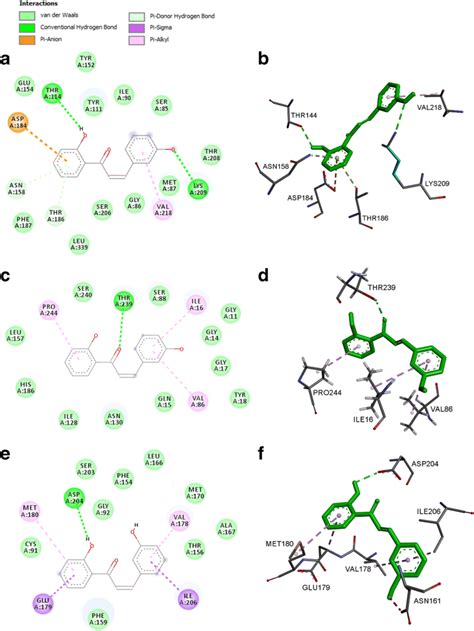 Predicted Binding Mode Of Compound 3c In The Active Site Of TvMGL A