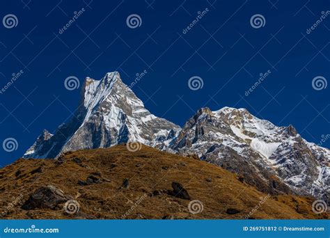 Nepal Top Machapuchare Stock Foto Image Of Actief Stijging