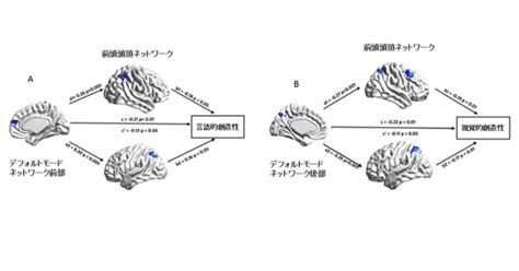 言葉の創造性と視覚的創造性の違いとは？｜脳科学リサーチ【オフィスワンダリングマインド】