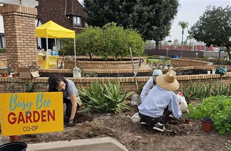 Busy Bees And Lghs Create Pollinator Gardens At Treganza Heritage Park