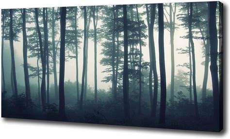 Pazzowalls Obraz na ścianę foto canvas Las we mgle 120x60 cm Opinie i