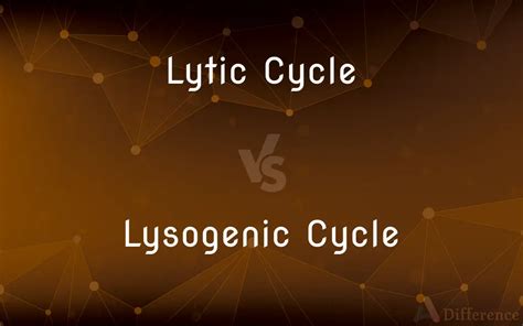 Lytic Cycle Vs Lysogenic Cycle — Whats The Difference