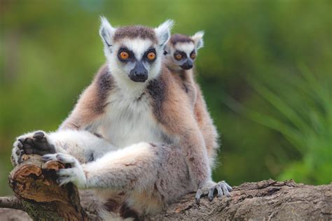 Erlebnisreise Ab An Antananarivo Berge Meer