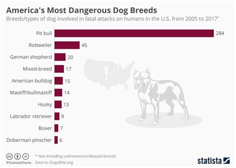 Despite being 5% of the population they commit 67% of the murders in ...