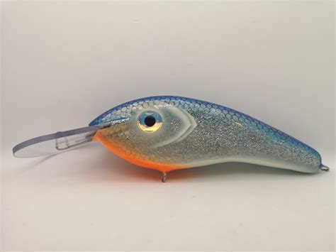 Crazy Shad 19 – House of Lures