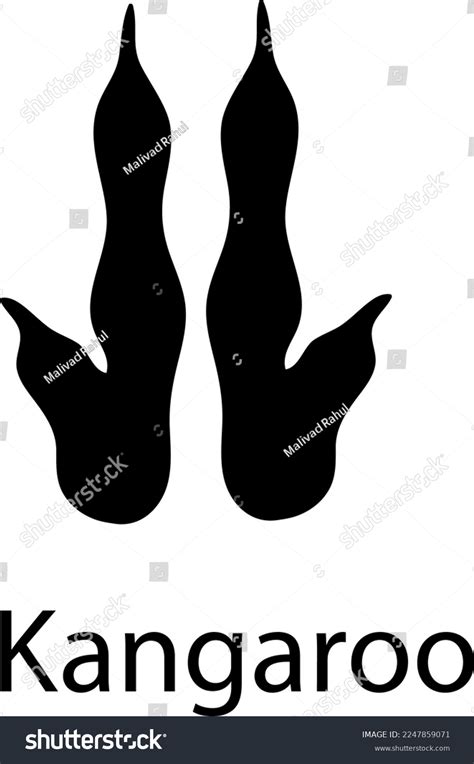 Kangaroo Foot Print Illustration Kangaroo Paw Stock Vector Royalty