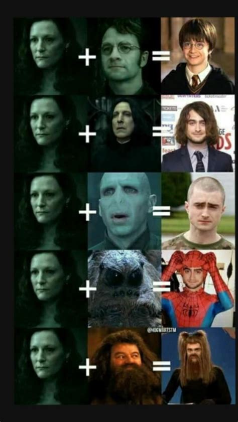 Pin By Orla On Pins By You Harry Potter Funny Harry Potter Memes