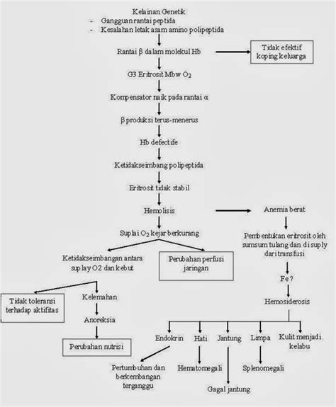 Pathway Thalassemia