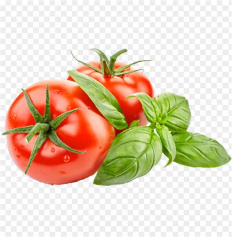 Free download HD PNG tomatoes tomatoes chrysal tomaten kräuter