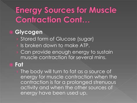 Ppt Energy And Oxygen For Muscle Contraction Powerpoint Presentation