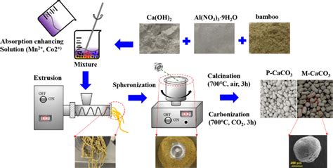 Schematic Diagram Of Preparing High Absorption Pellets By Download Scientific Diagram