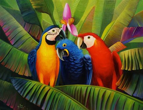 Cuadros Modernos Pinturas Y Dibujos Cuadros De Coloridas Guacamayas