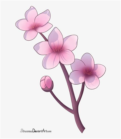 Cherry Blossom Branch By Stacona - Dibujo Flor De Cerezo PNG Image ...