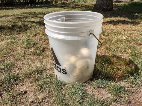 How Many Baseballs Fit In A 5 Gallon Bucket