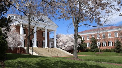 UVA Darden Announces Faculty Promotions – Darden Report Online