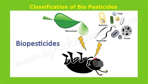 biopesticide   categories