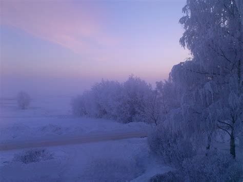 Winter in Skåne, Sweden | Winter scenes, Landscape, Scenic