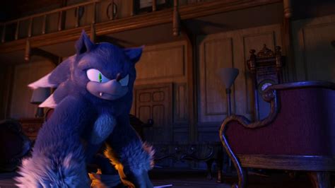 What Is The Werehog SonicUnleashed