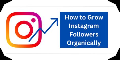 How To Grow Instagram Followers Organically Tips And Tricks Blogviewers