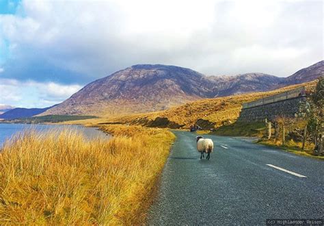 Kerry And Cork