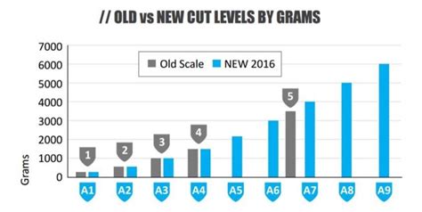 ANSI Glove Ratings for Cut Resistance Explained - Pro Tool Reviews