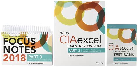 Wiley Ciaexcel Exam Review Test Bank Focus Notes Part