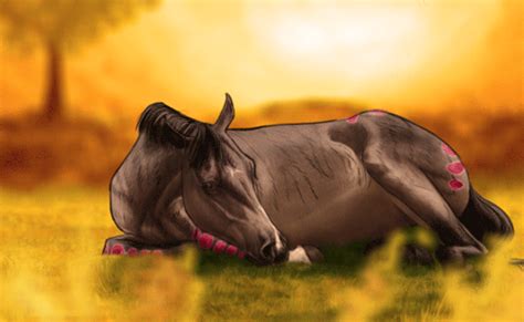 Animation Sleeping Horse By Banggoesreality On Deviantart