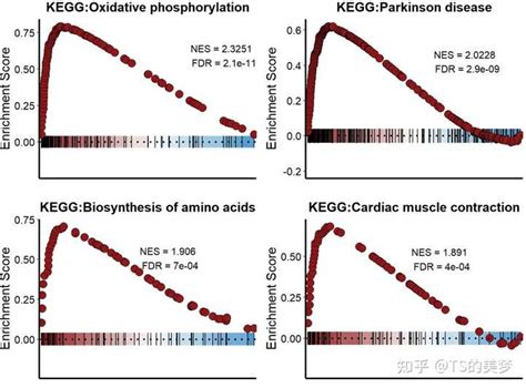 如何解读 Gsea 分析结果？ 知乎