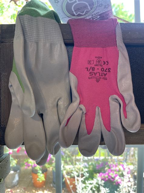 Atlas Gloves – Antique Rose Emporium - Clubs