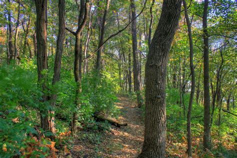 Hiking trail in woods at Belmont Mounds State Park, Wisconsin image ...