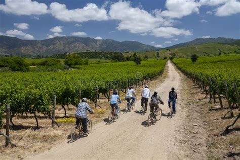 Vineyards In The Colchagua Valley Chile Editorial Image Image Of