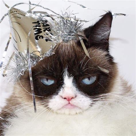 Happy New Year Grumpy Style Grumpy Cat Cats Crazy Cats